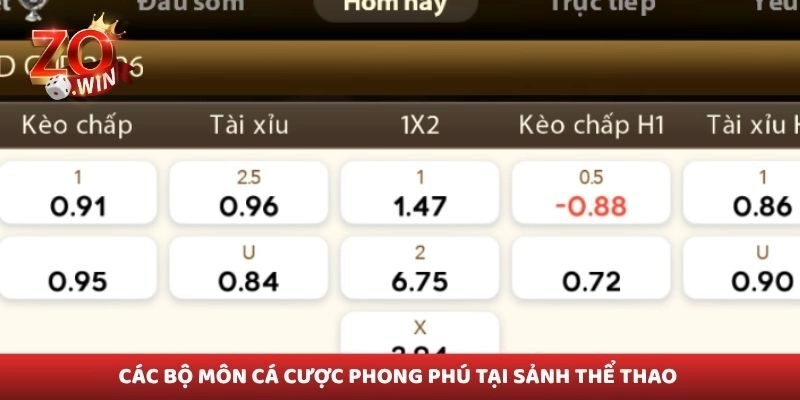 Các bộ môn cá cược phong phú tại sảnh thể thao 